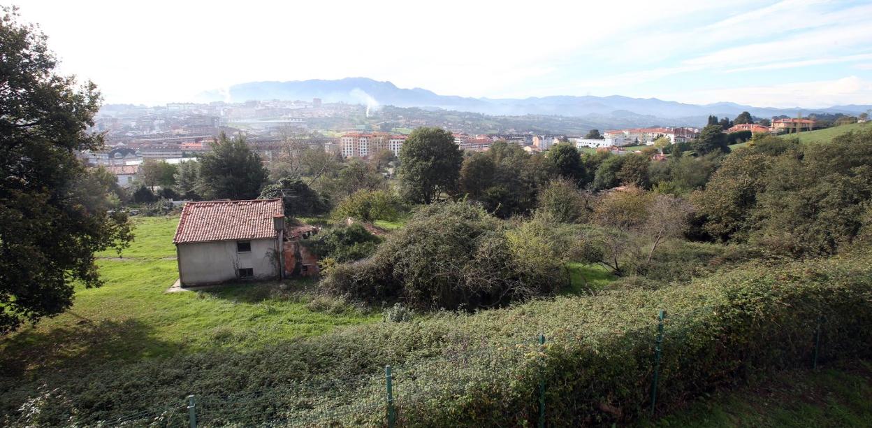 Los terrenos de Loma del Canto I, donde estaba prevista la construcción de trescientas viviendas. 