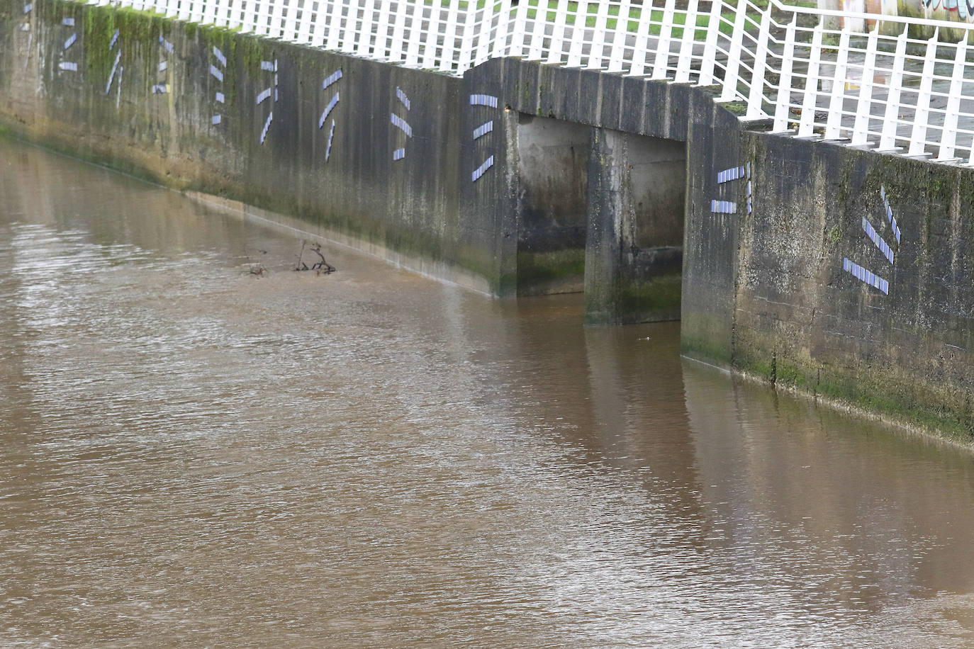 El temporal que azota Asturias ha ocasionado que la bahía de San Lorenzo apareciera este viernes con agua de color marrón, procedente del río Piles y del arrastre de las aguas de escorrentía, lo que se unió a una mar muy revuelta