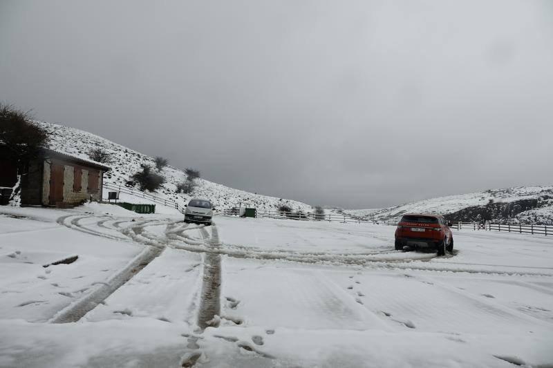 El enclave más visitado de los Picos de Europa ha amanecido hoy cubierto de un manto blanco, con varios centímetros acumulados en el entorno del Ercina, suficientes para atraer a viajeros de distintos puntos de España