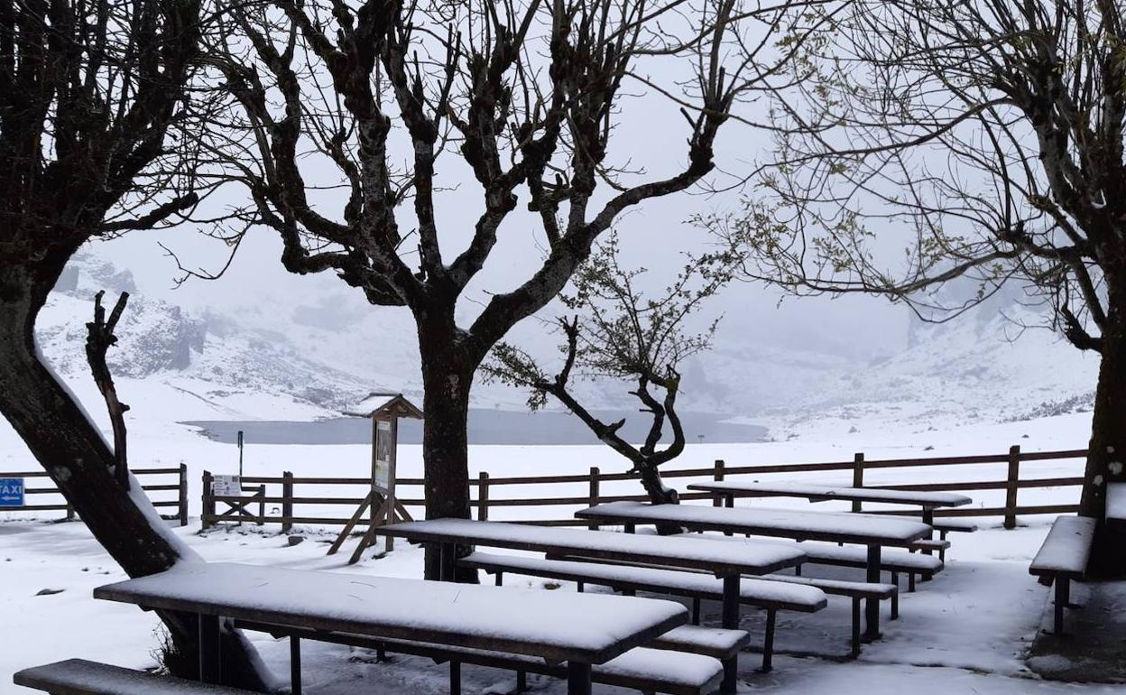 Los Lagos de Covadonga, bajo la nieve. 