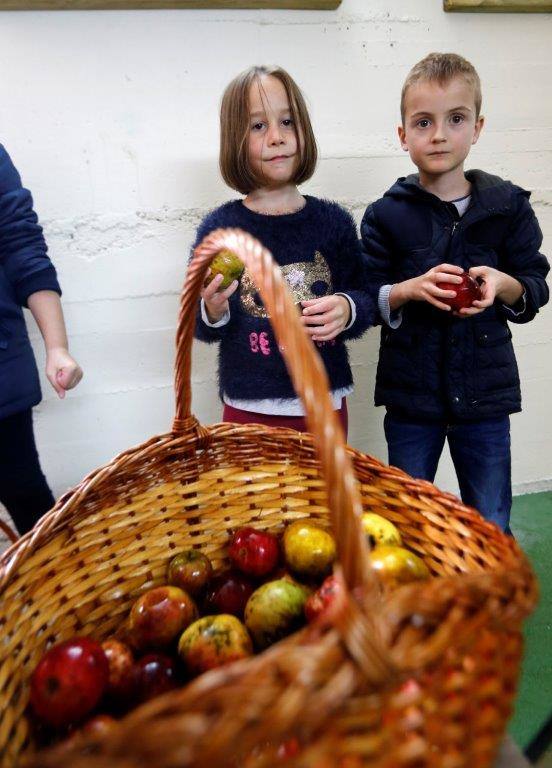 Sidra desde pequeños