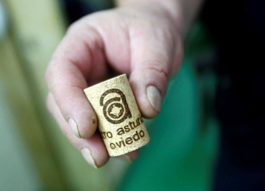 Sidra desde pequeños