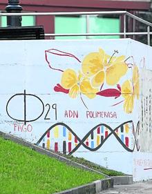 Imagen secundaria 2 - Las medianeras de Oviedo se llenan de color