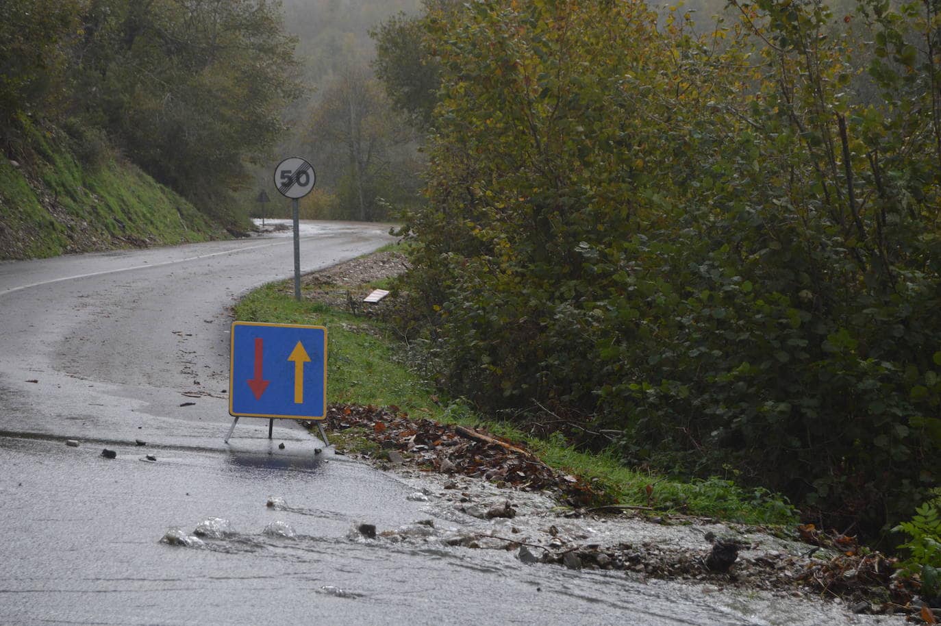 Las intensas lluvias han provocado argayos en Cangas de Onís, Cirieño, Poncebos y en Degaña. Además, se han desbordado los ríos Nalón y Trubia. 