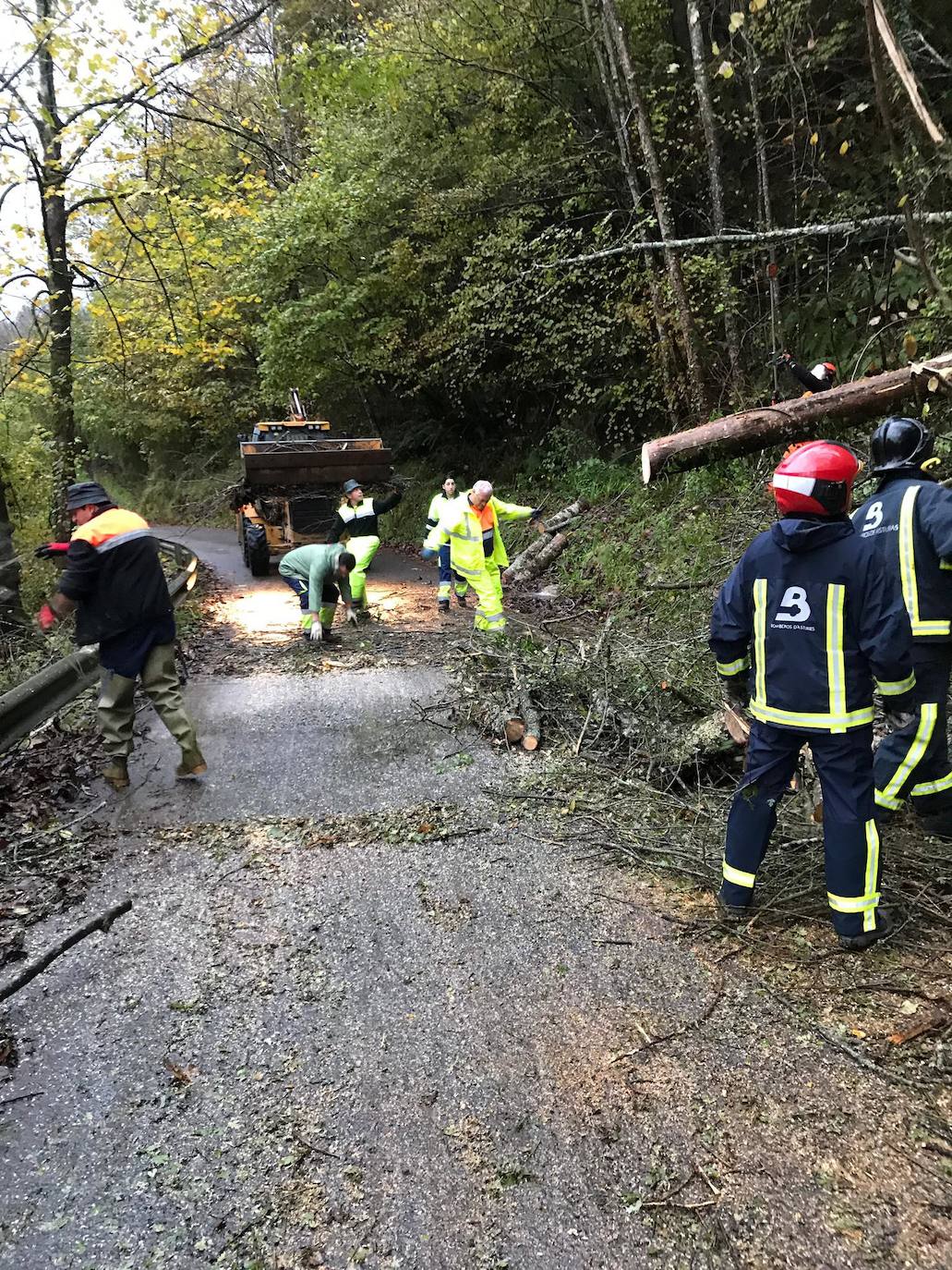 Las intensas lluvias han provocado argayos en Cangas de Onís, Cirieño, Poncebos y en Degaña. Además, se han desbordado los ríos Nalón y Trubia. 