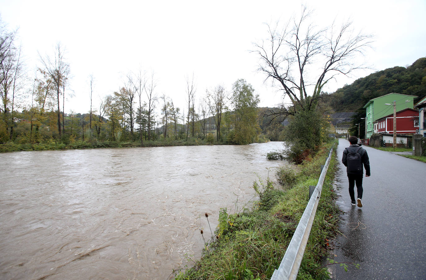 Las intensas lluvias han provocado argayos en Cangas de Onís, Cirieño, Poncebos y en Degaña. Además, se han desbordado los ríos Nalón y Trubia. 