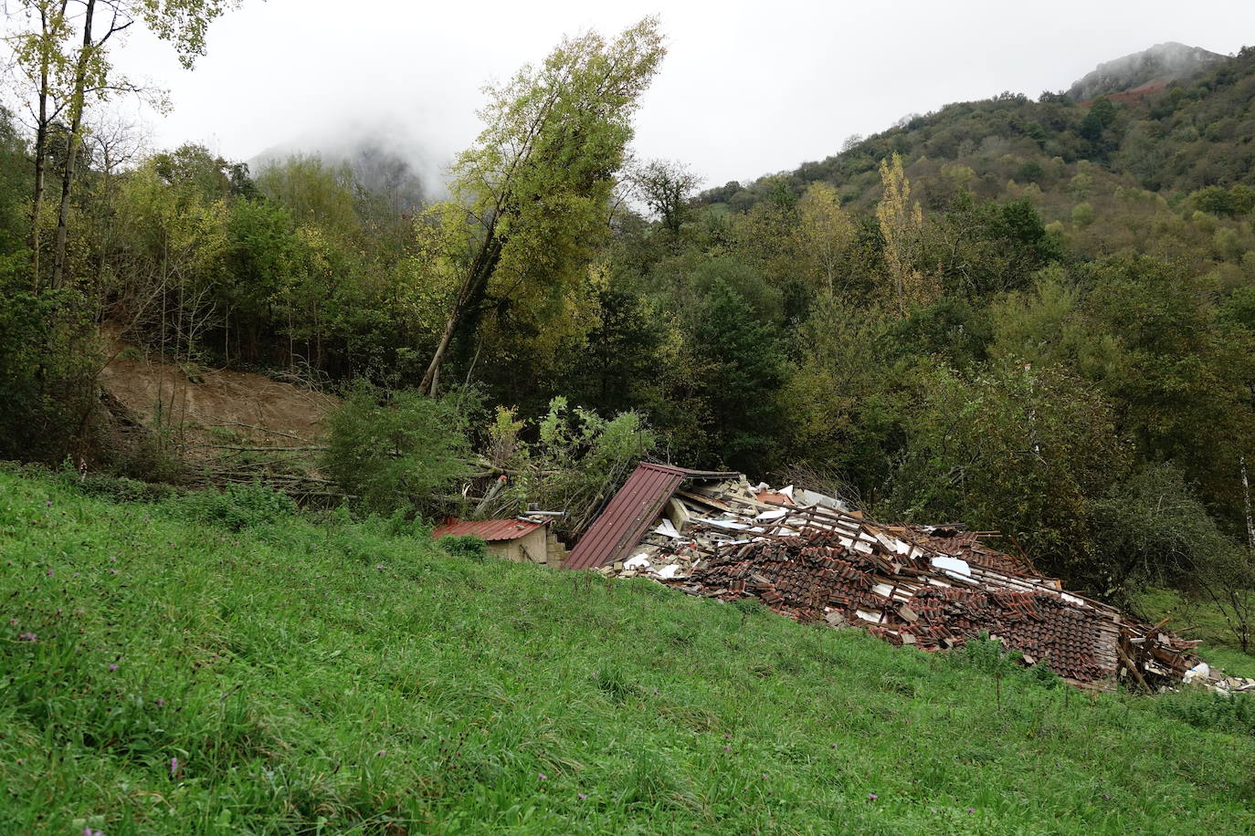 Un argayu ha sepultado una casa habitada en la localidad de Cirieño, en Amieva. Por fortuna, su inquilina, una mujer de 72 años, no se encontraba en la vivienda.