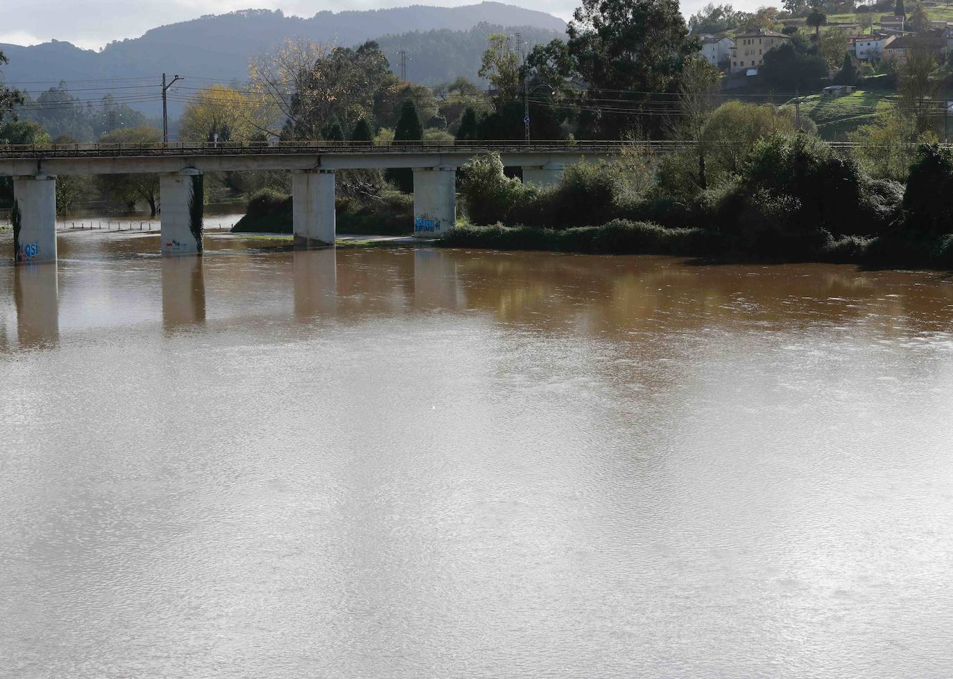 Las lluvias de las últimas horas han provocado el desbordamiento del río Nalón en varios de sus tramos, como Pravia. El agua, que alcanza la carretera AS-16, ha anegado por completo varias huertas y plantaciones de kiwi.