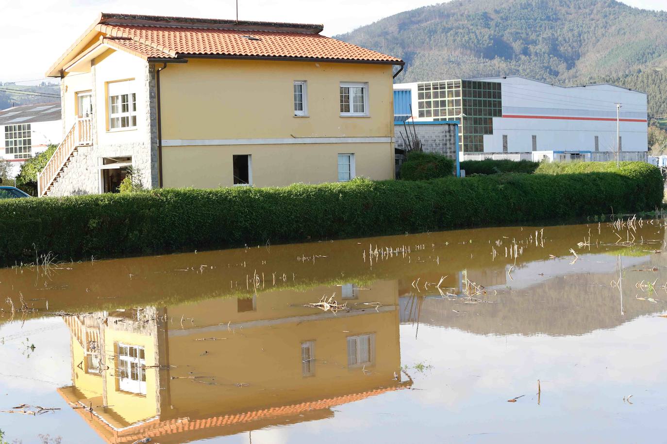 Las lluvias de las últimas horas han provocado el desbordamiento del río Nalón en varios de sus tramos, como Pravia. El agua, que alcanza la carretera AS-16, ha anegado por completo varias huertas y plantaciones de kiwi.