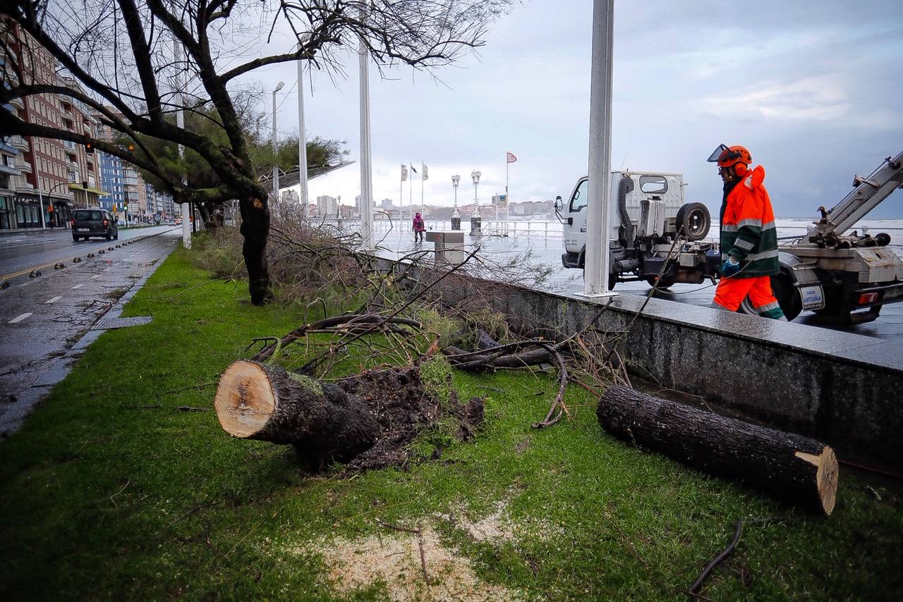 Fotos: Los destrozos que deja el temporal en Gijón