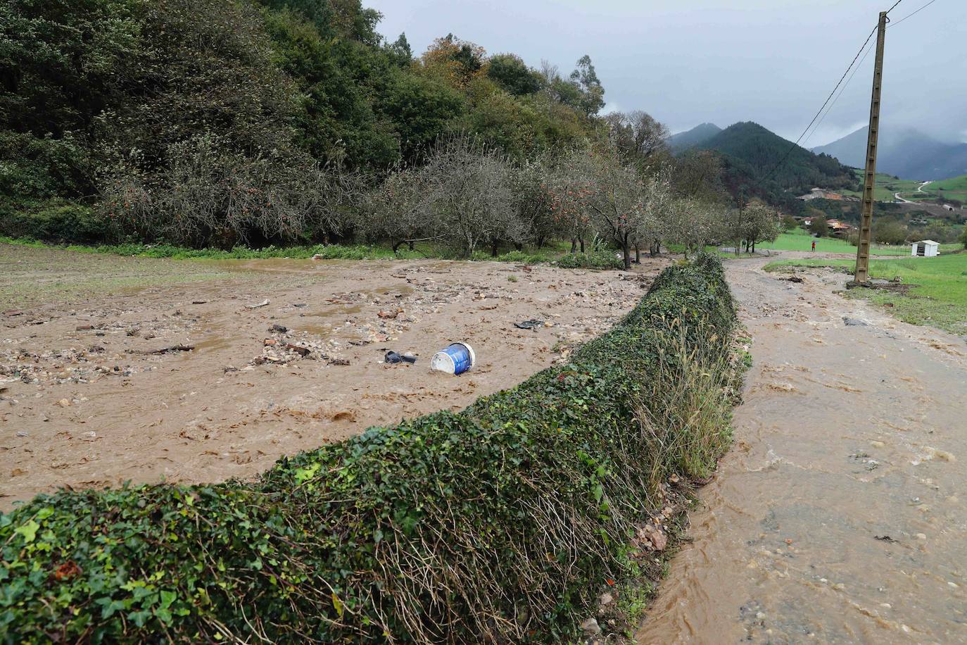 Las fuertes lluvias registradas en las últimas horas en Asturias han provocado dos desprendimientos de tierra en Villazón (Salas), uno de los cuales ha afectado a parte de una vivienda sin causar heridos, y el otro ha destrozado una nave y provocado la muerte de varios animales