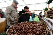 Festival de la castaña en Arriondas