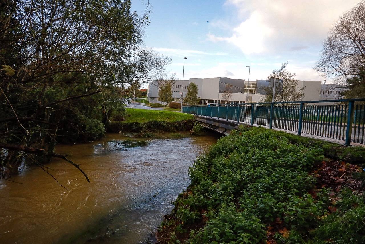 El aumento del nivel del agua presisa extremar la vigilancia en los ríos asturianos. Así amanecían este sábado el río Pinzales y el Piles, en Gijón, tras las fuertes precipitaciones.