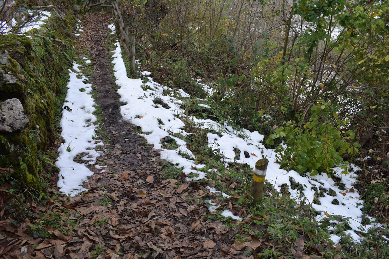 Fotos: Un paseo con nieve por la Senda Verde Foyoso