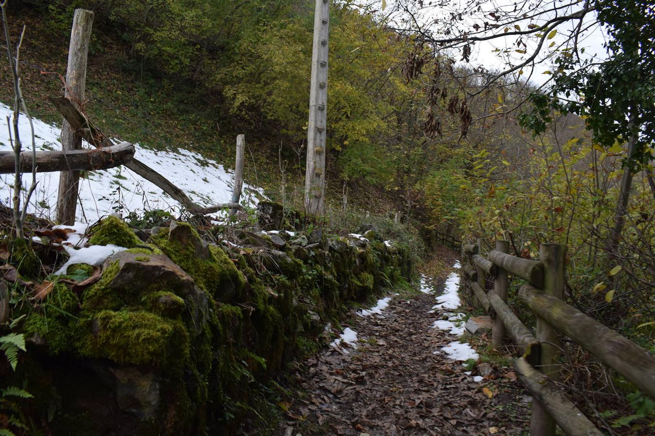 Fotos: Un paseo con nieve por la Senda Verde Foyoso