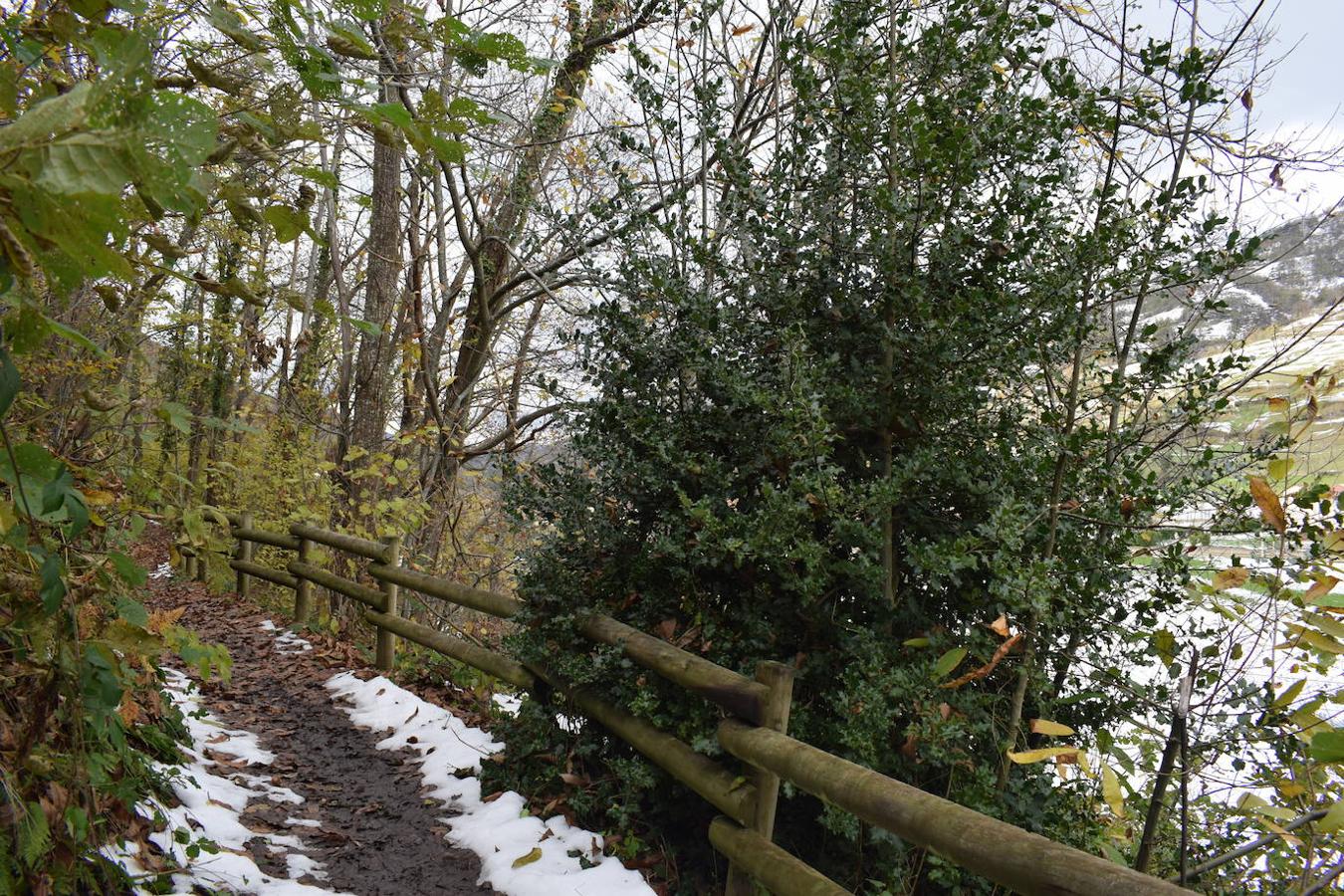 Fotos: Un paseo con nieve por la Senda Verde Foyoso