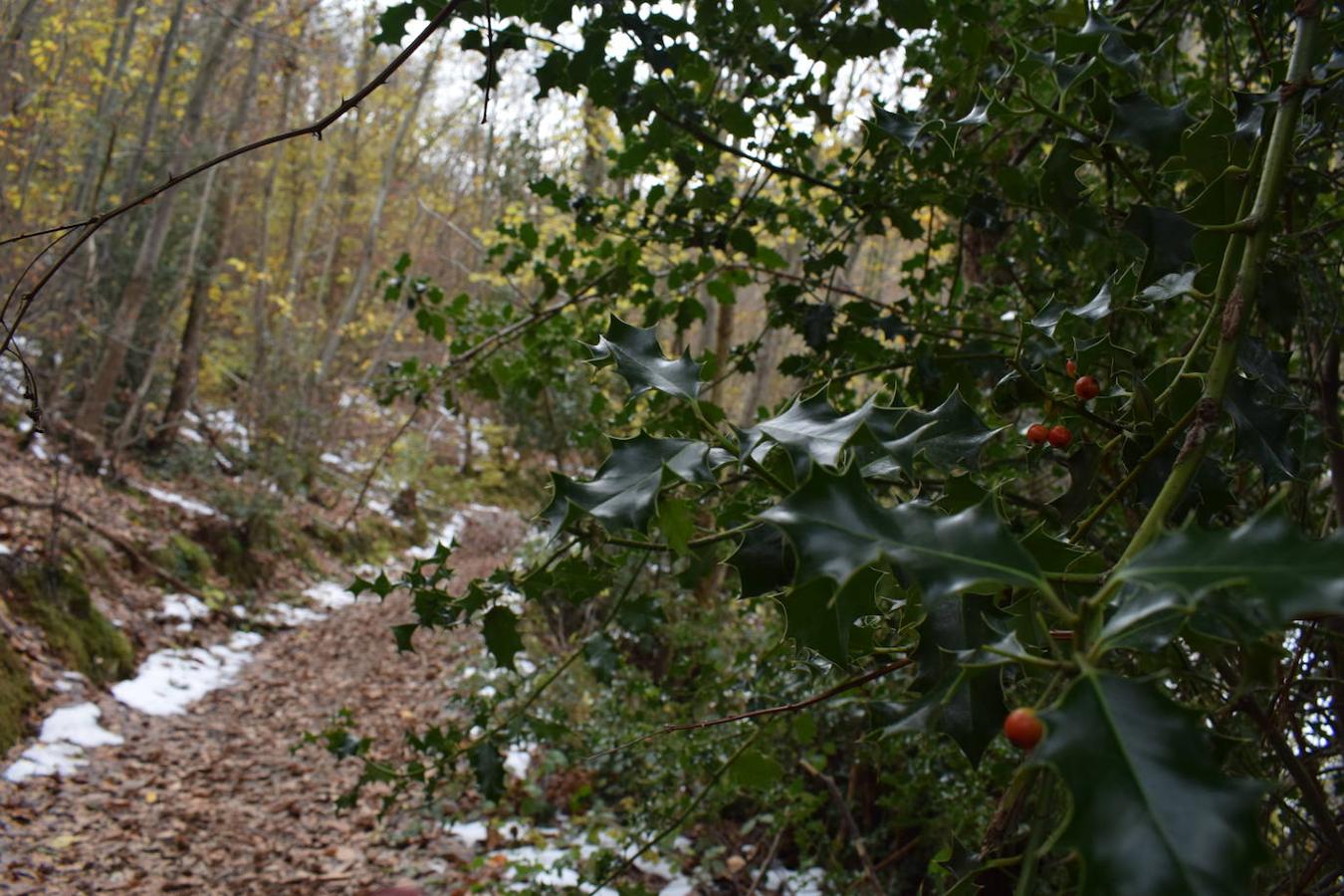 Fotos: Un paseo con nieve por la Senda Verde Foyoso