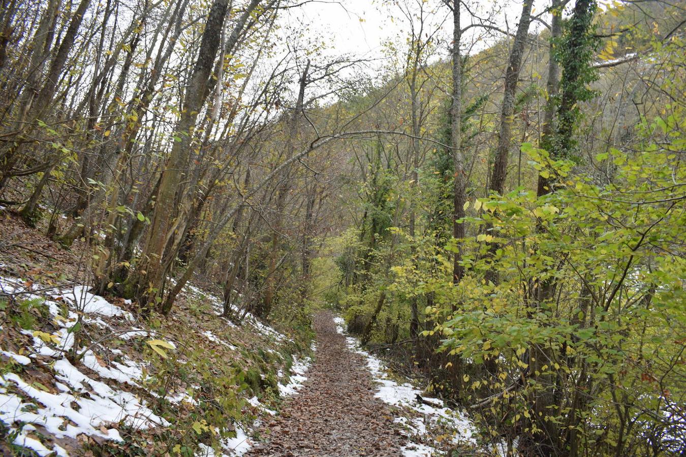 Fotos: Un paseo con nieve por la Senda Verde Foyoso