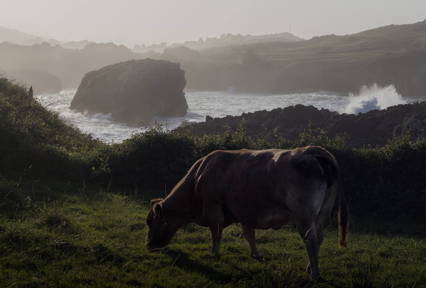 De Oriente a Occidente, entre playas y montañas, estas son algunas de las mejores escenas presentadas al concurso de fotografía 'Escenas de Asturias' de EL COMERCIO con el patrocinio de El Gaitero 