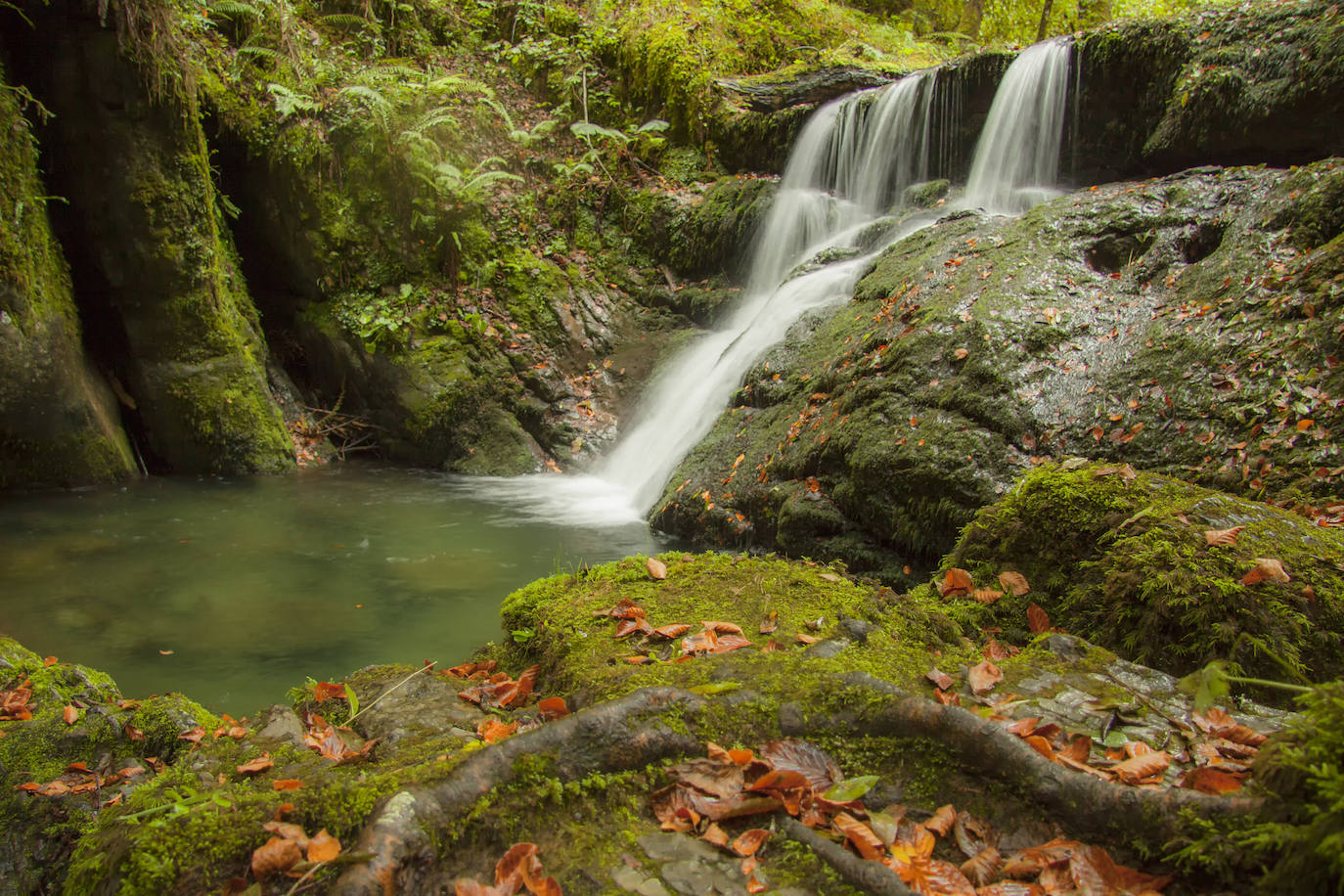 De Oriente a Occidente, entre playas y montañas, estas son algunas de las mejores escenas presentadas al concurso de fotografía 'Escenas de Asturias' de EL COMERCIO con el patrocinio de El Gaitero 