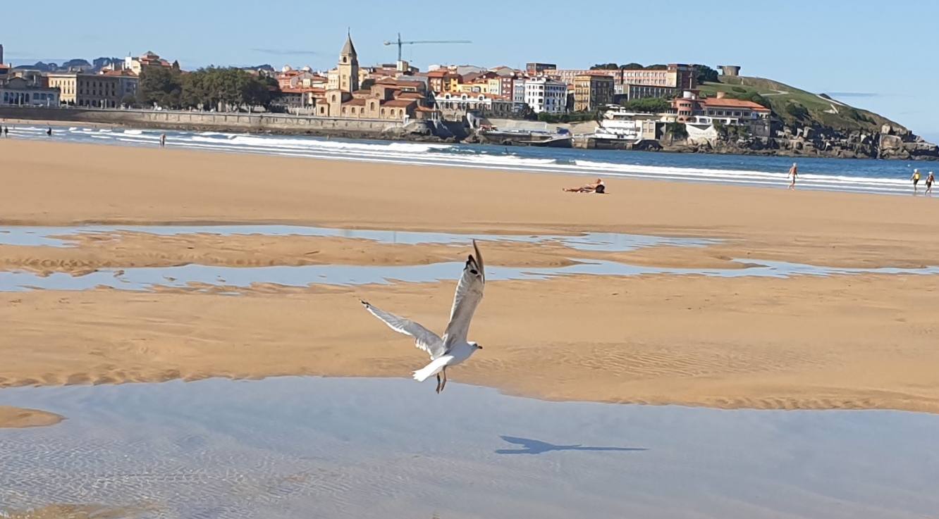 De Oriente a Occidente, entre playas y montañas, estas son algunas de las mejores escenas presentadas al concurso de fotografía 'Escenas de Asturias' de EL COMERCIO con el patrocinio de El Gaitero 
