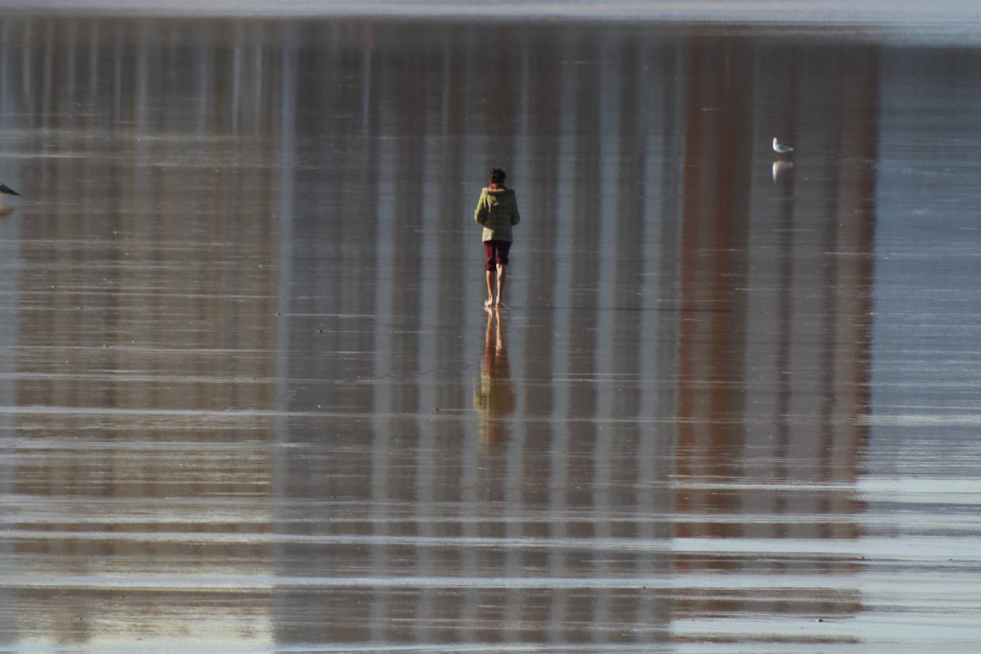 De Oriente a Occidente, entre playas y montañas, estas son algunas de las mejores escenas presentadas al concurso de fotografía 'Escenas de Asturias' de EL COMERCIO con el patrocinio de El Gaitero 