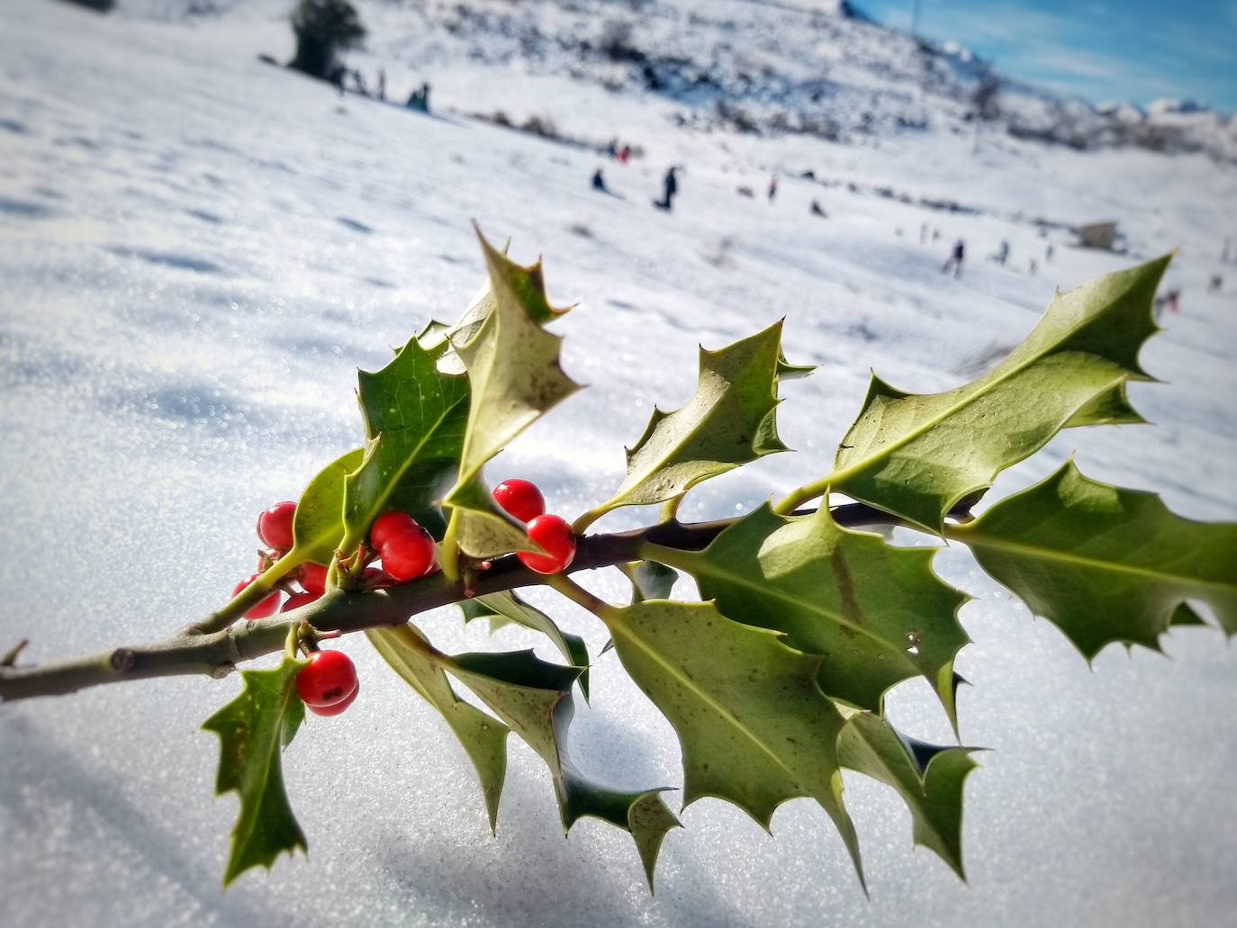 De Oriente a Occidente, entre playas y montañas, estas son algunas de las mejores escenas presentadas al concurso de fotografía 'Escenas de Asturias' de EL COMERCIO con el patrocinio de El Gaitero 