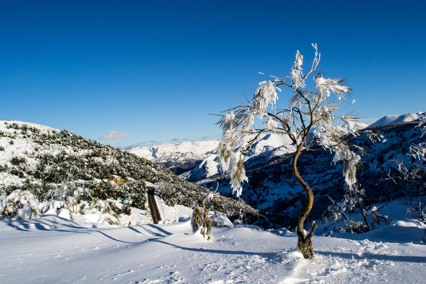 De Oriente a Occidente, entre playas y montañas, estas son algunas de las mejores escenas presentadas al concurso de fotografía 'Escenas de Asturias' de EL COMERCIO con el patrocinio de El Gaitero 