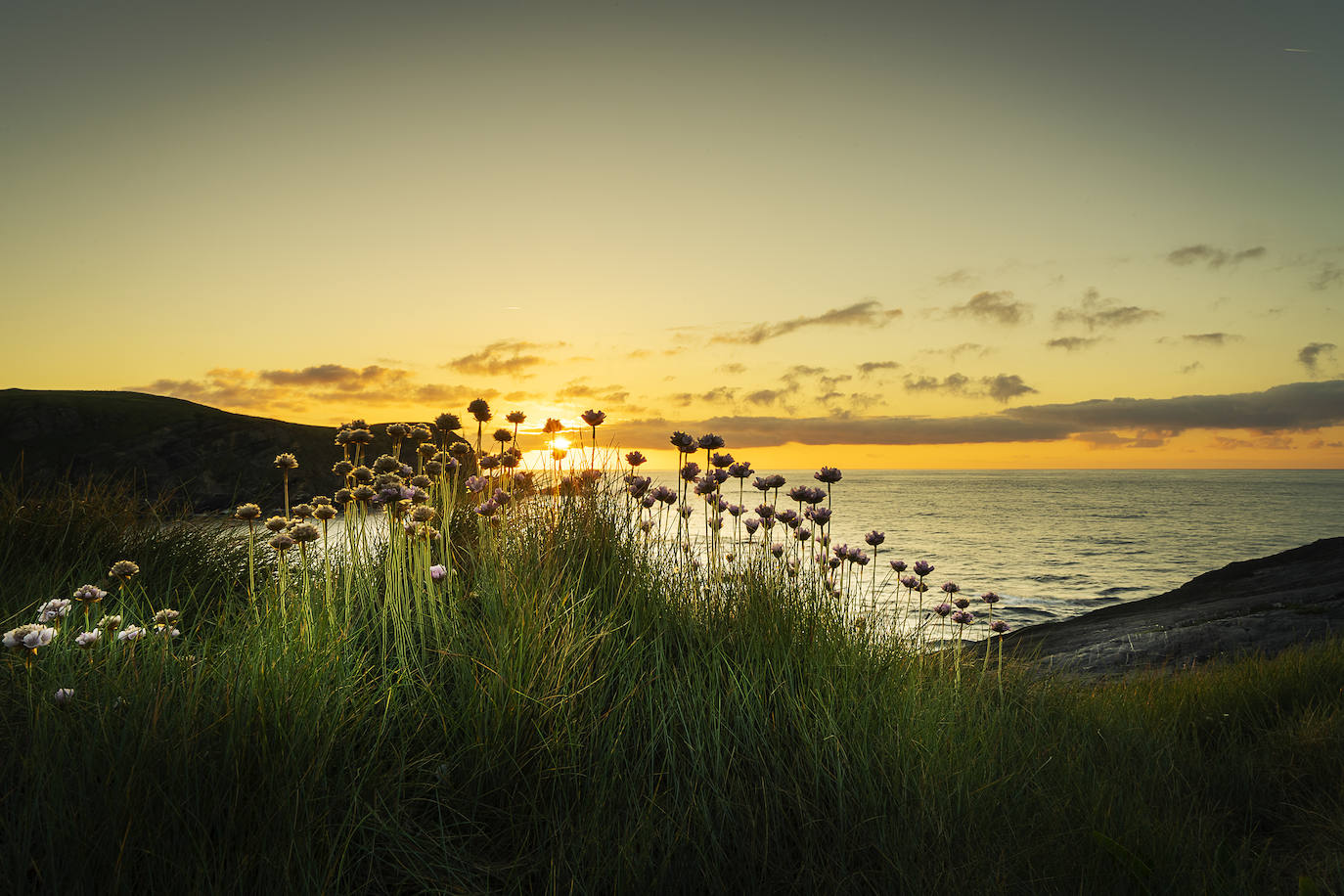 De Oriente a Occidente, entre playas y montañas, estas son algunas de las mejores escenas presentadas al concurso de fotografía 'Escenas de Asturias' de EL COMERCIO con el patrocinio de El Gaitero 