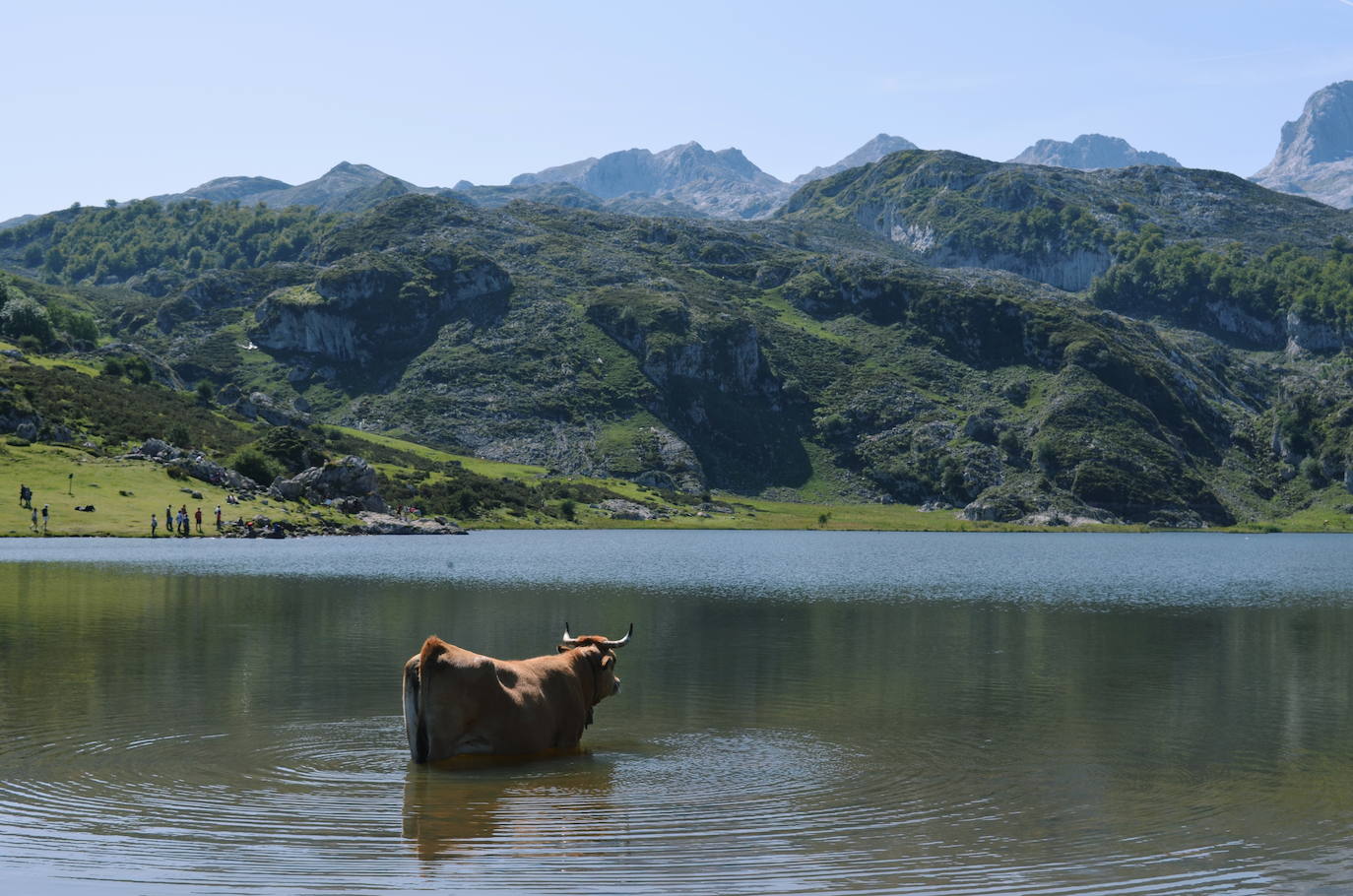 De Oriente a Occidente, entre playas y montañas, estas son algunas de las mejores escenas presentadas al concurso de fotografía 'Escenas de Asturias' de EL COMERCIO con el patrocinio de El Gaitero 