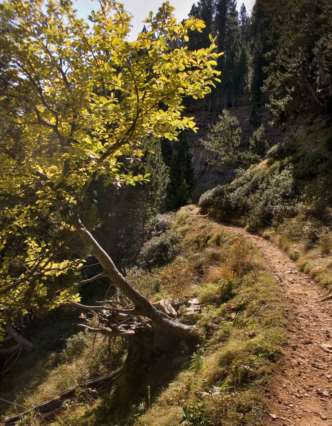 La pendiente se suaviza después de superar el primer tramo.