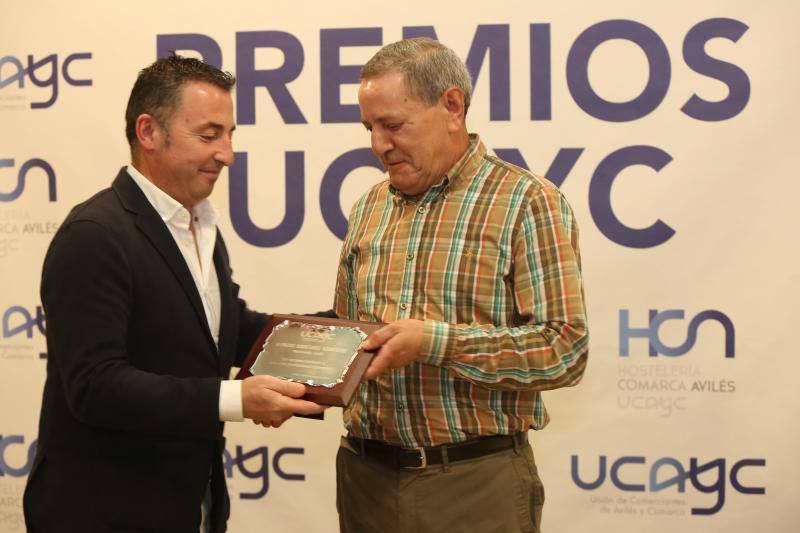 Fotos: Entrega de premios de la Ucayc a los &#039;mejores embajadores&#039; de Avilés