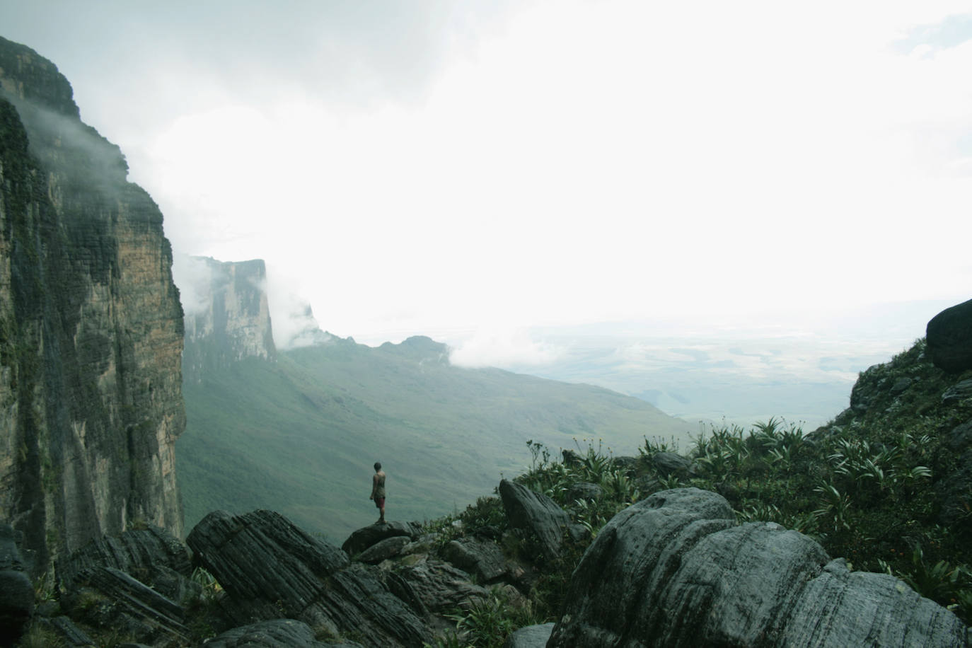 TEPUY RORAIMA (VENEZUELA) | Se trata del punto más alto de las montañas tubulares que se encuentran en la gran sabana que comparten Venezuela, Guyana y Brasil.