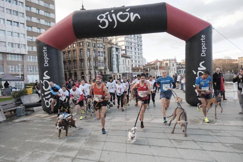 Este sábado tuvo lugar, en el muro de San Lorenzo, la carrera contra el sida de la Asociación Abierto Hasta el Amanecer en colaboración con el Comité Ciudadano Antisida con el objetivo de dar visibilidad sobre el virus VIH y concienciar a la población de su existencia.