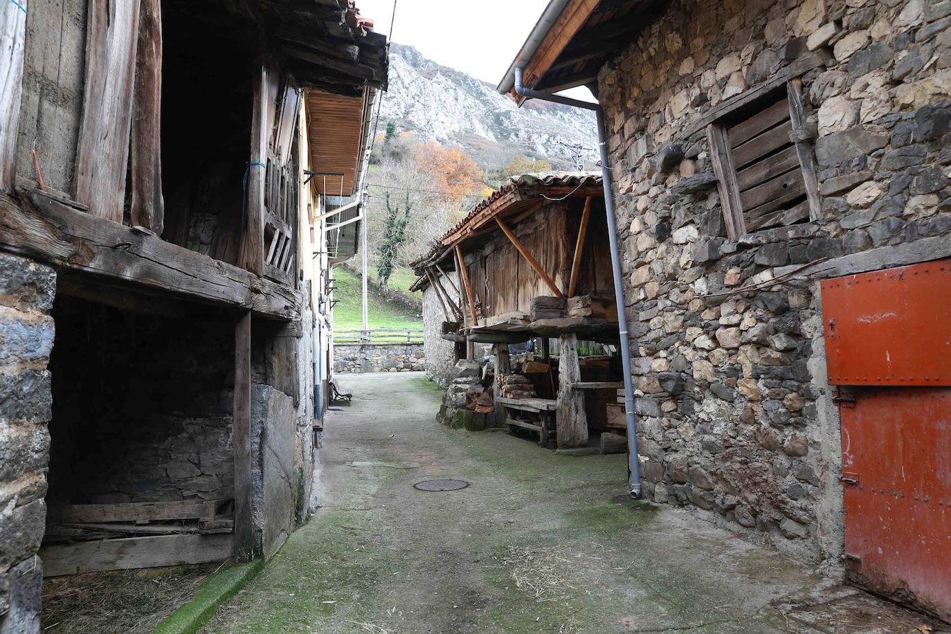 64.100 asturianos de más de 65 años viven solos, si bien en la zona rural la cercanía con los vecinos reduce el riesgo de aislamiento extremo