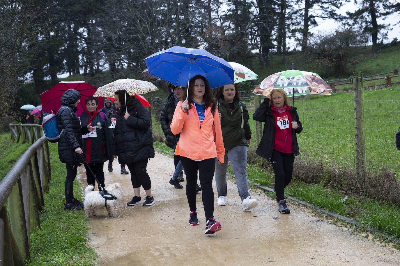 Ha llovido mucho, pero eso no mermó los ánimos de los participantes en la Marcha Familiar Solidaria de EL COMERCIO, organizada este año en beneficio de la asociación Galbán, dedicada a apoyar a familias de niños con cáncer.