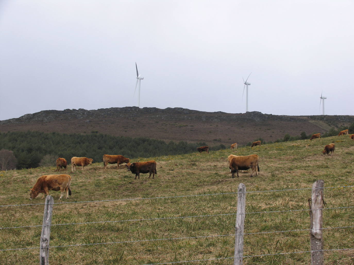 Illano (Asturias)