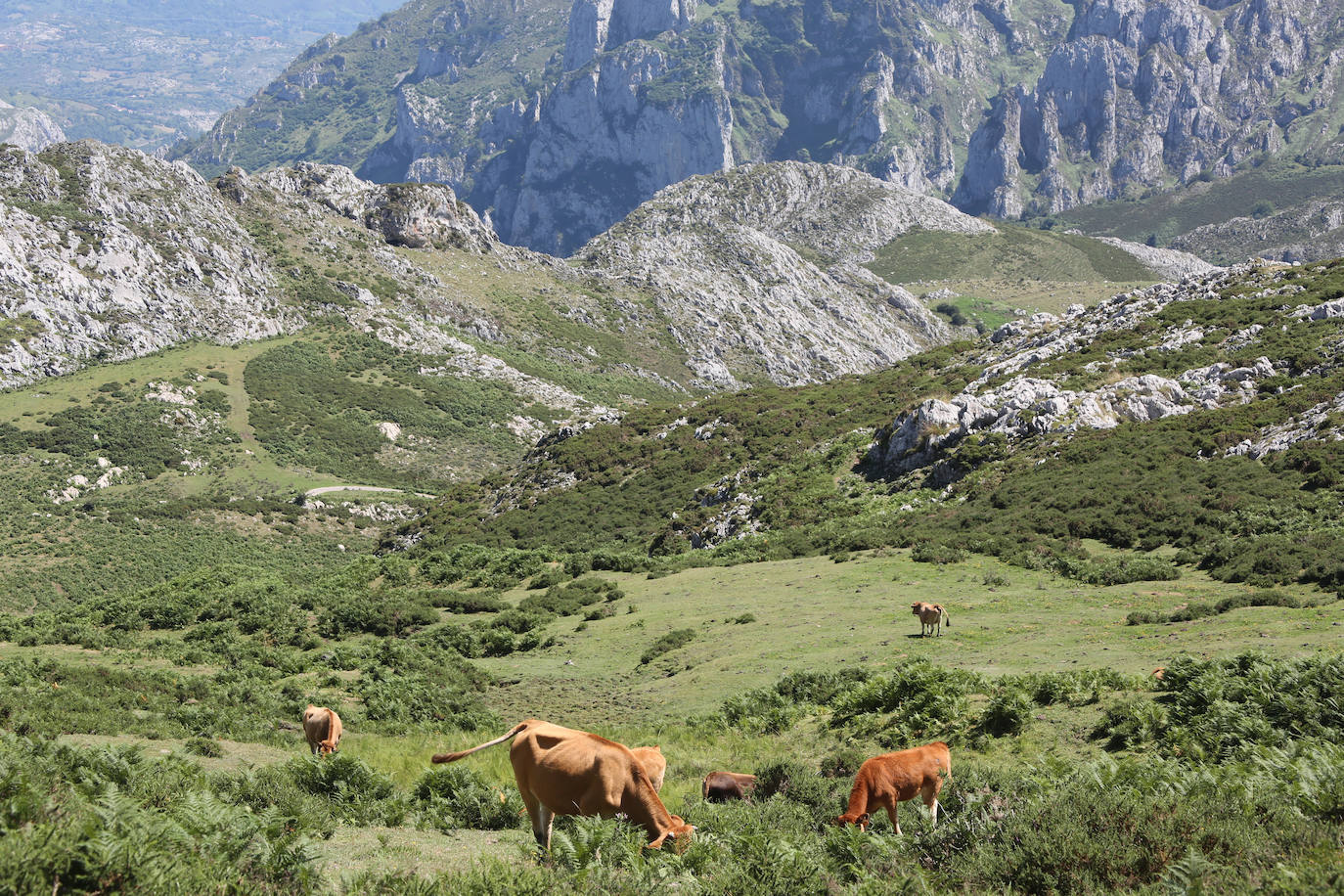 Onís (Asturias)