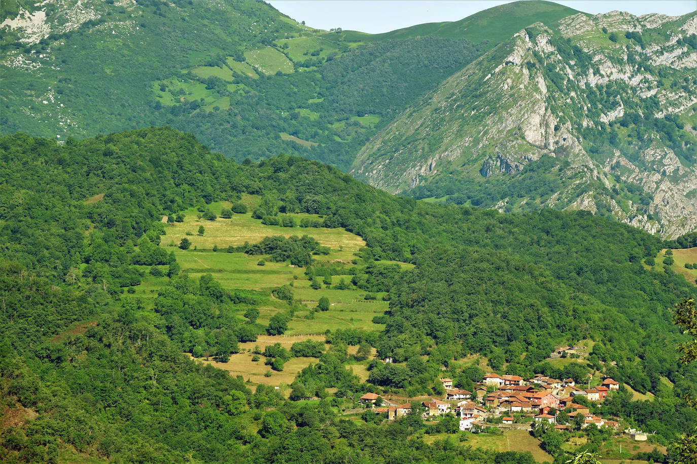 Ponga (Asturias) 