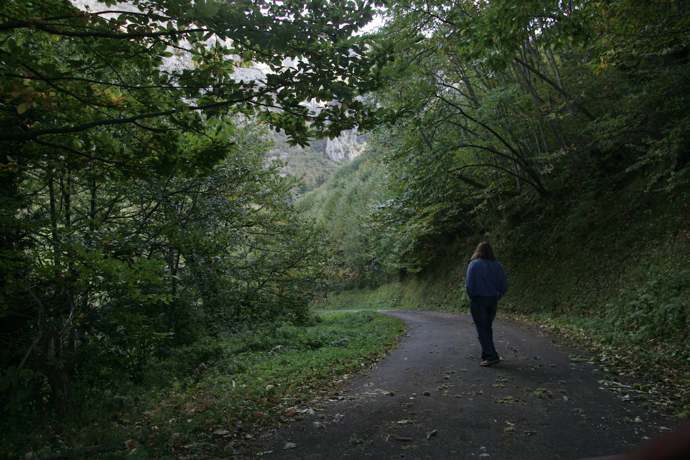 Santo Adriano (Asturias)