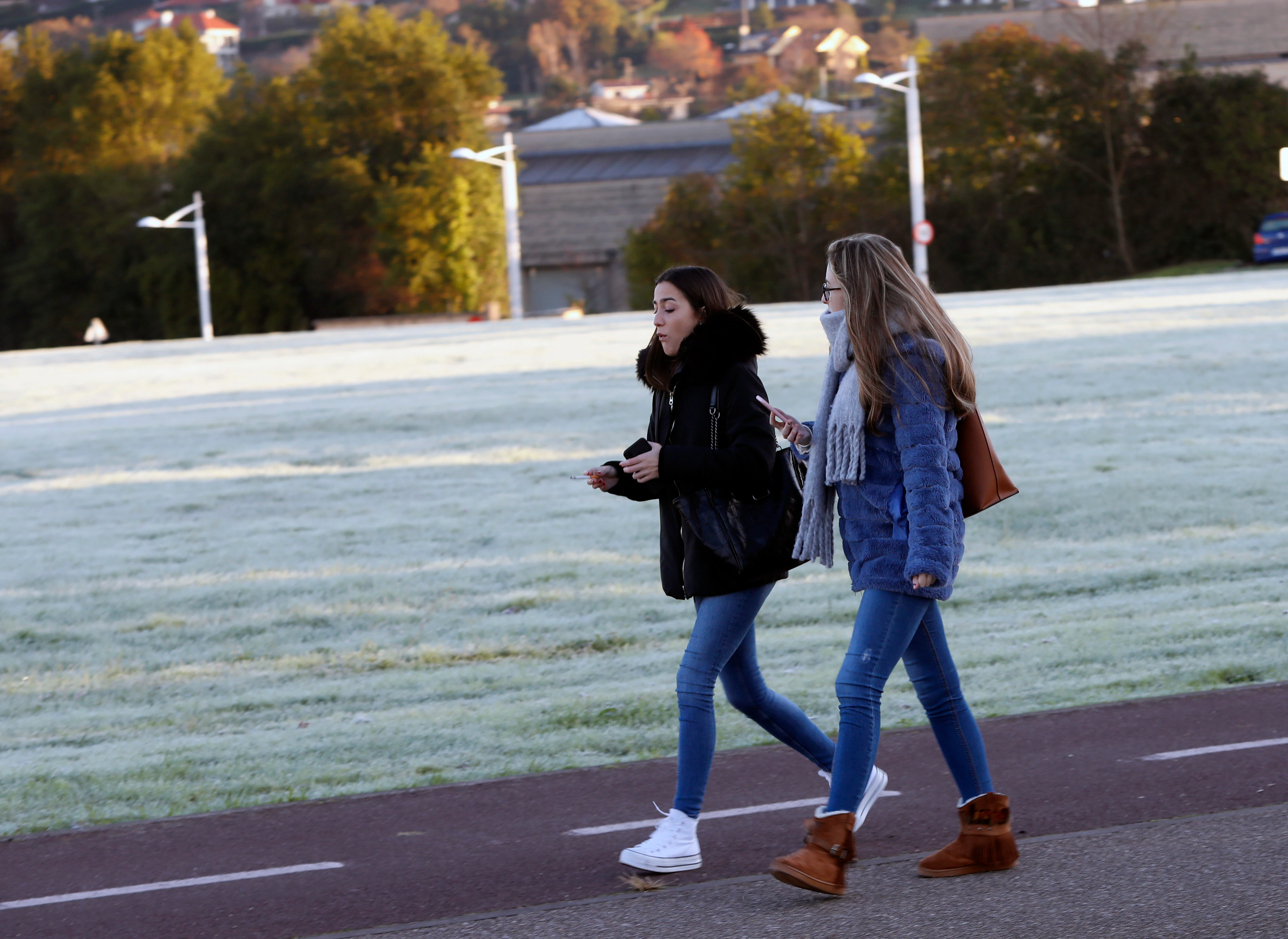 Las temperaturas han descendido durante la madrugada del martes al miércoles y buena parte del Principado ha amanecido bajo un manto de hielo 