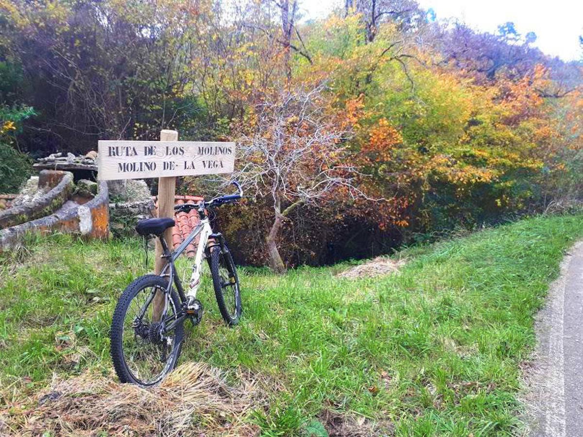 Fotos: Ruta en bici entre molinos