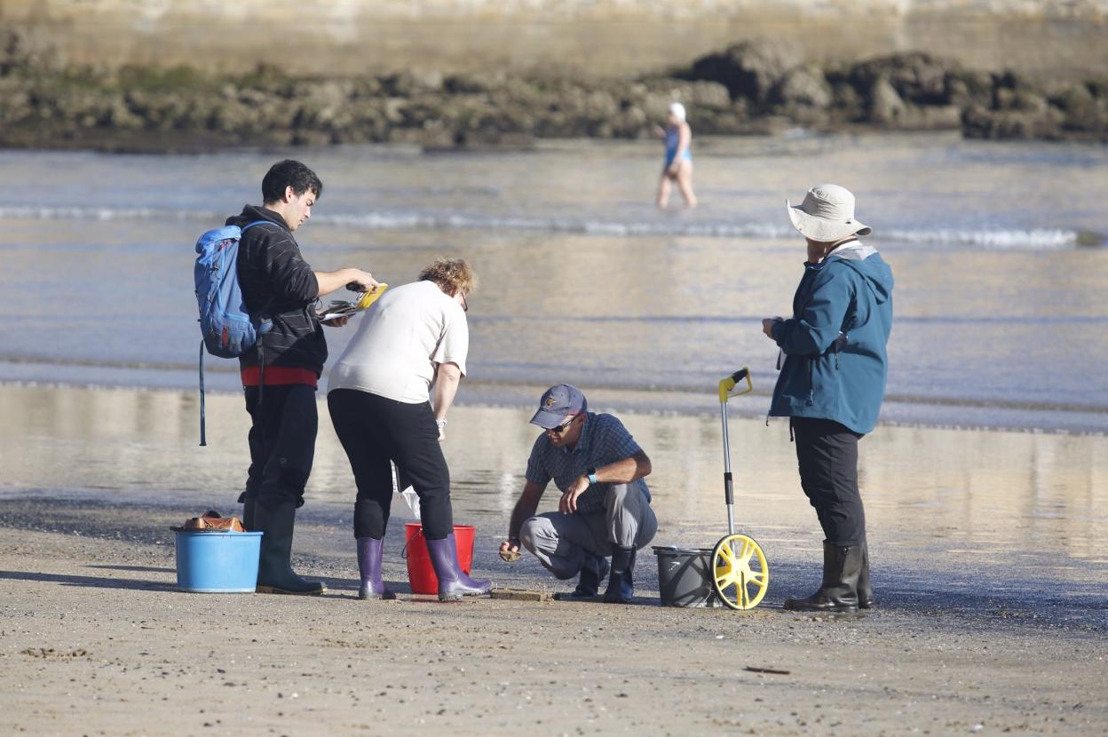Los investigadores del Incar recogiendo muestras en la playa de San Lorenzo en octubre. 