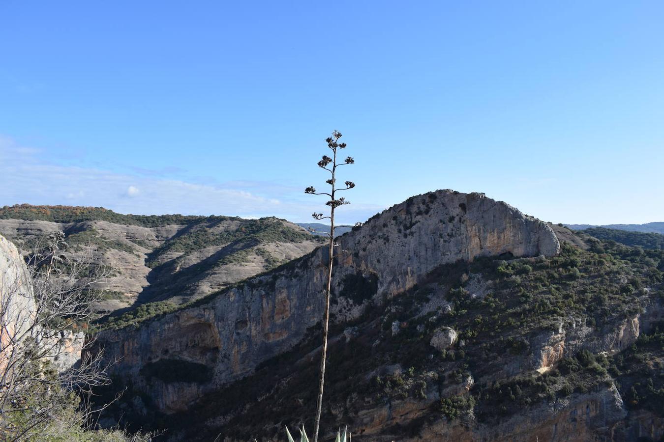 Alquezar se encuentra situado a orillas del río Vero, en el centro de la provincia de Huesca y en la comarca del Somontano de Barbastro. La belleza de su paisaje ha sido una de las principales razones por las que esta villa medieval fue declarada en 1990, Parque Natural de la Sierra y los Cañones de Guara. Hoy en día, este municipio se ha convertido en uno de los destinos turísticos más concurridos de la Sierra de Guara y no solo por el gran legado cultural y artístico que esconde, sino también por la gran cantidad de rutas, barrancos perfectos para los deportes de aventura y paredes perfectas para la práctica de la escalada que este paisaje integra. Un lugar que en otoño se vuelve aún más mágico y del que podrás disfrutar en estas fotografías. 