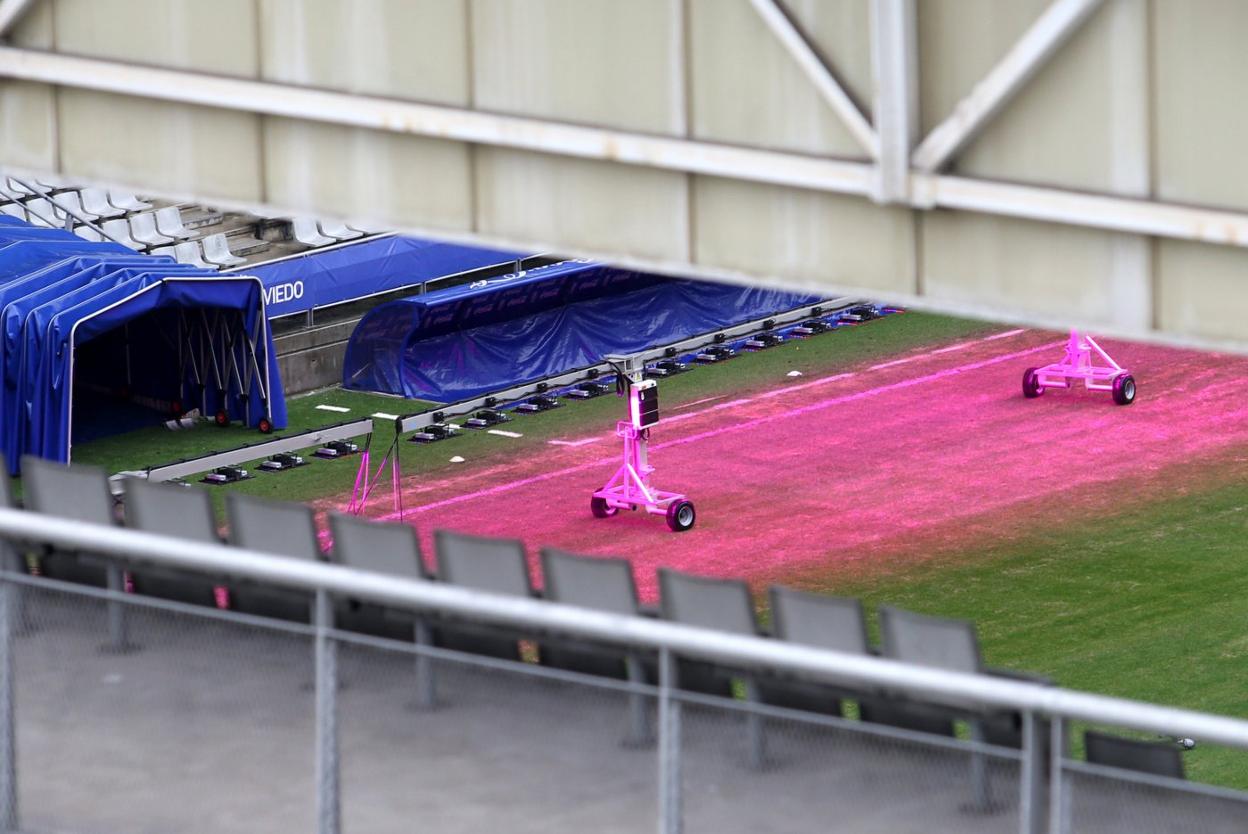 Detalle del césped del estadio Carlos Tartiere.