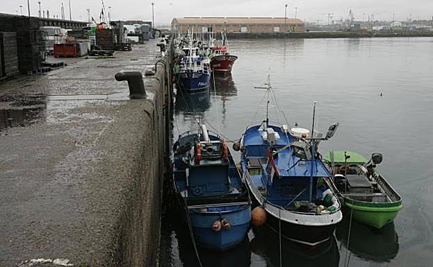 Flota pesquera amarrada en el puerto de Gijón.