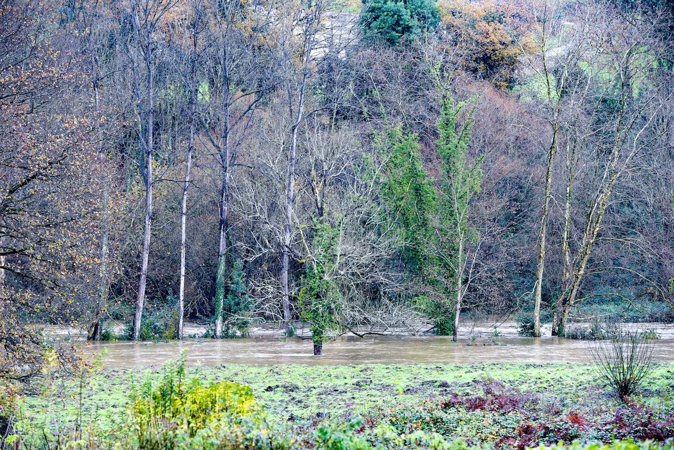 El desbordamiento de los ríos Nora y Noreña han comenzado a causar importantes desperfectos a su paso por los concejos de Oviedo y el área central de Asturias. 