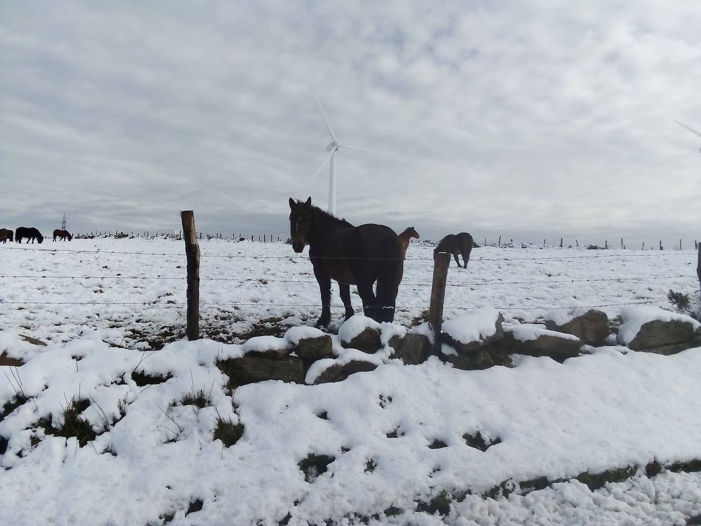 Complicada jornada en la región por las fuertes nevadas y el intenso frío, que mantiene la alerta naranja.