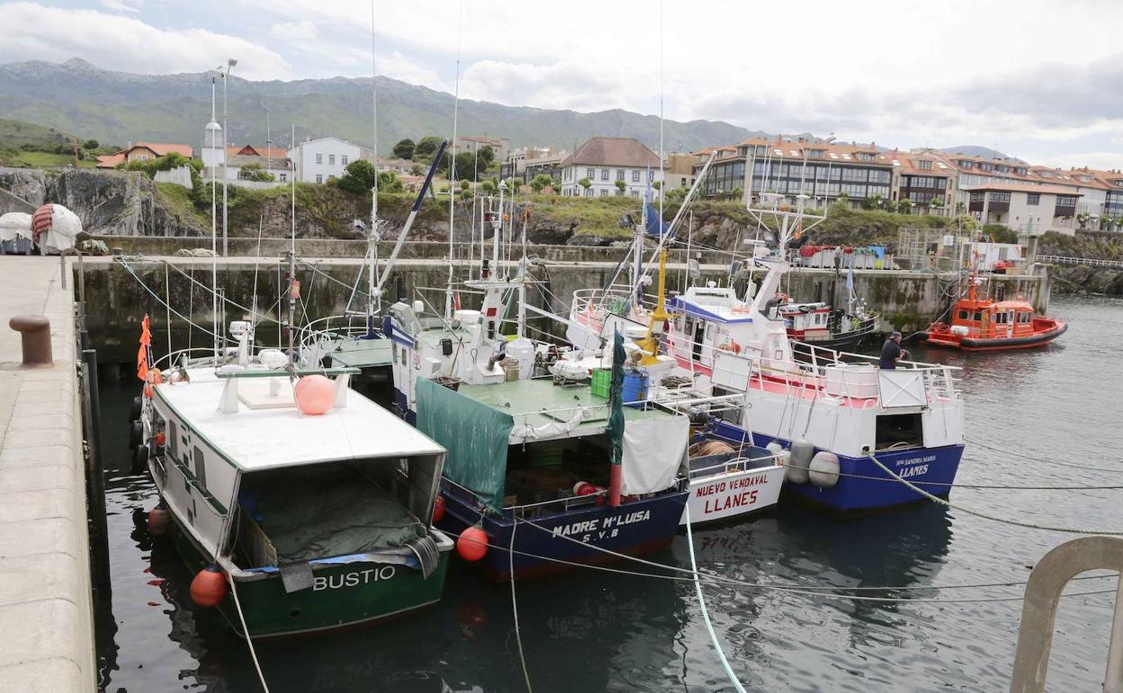 Barcos de pesca en el puerto de Llanes.