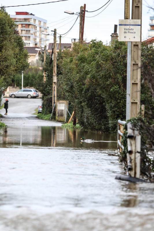 Fotos: Los efectos del temporal en la comarca de Avilés